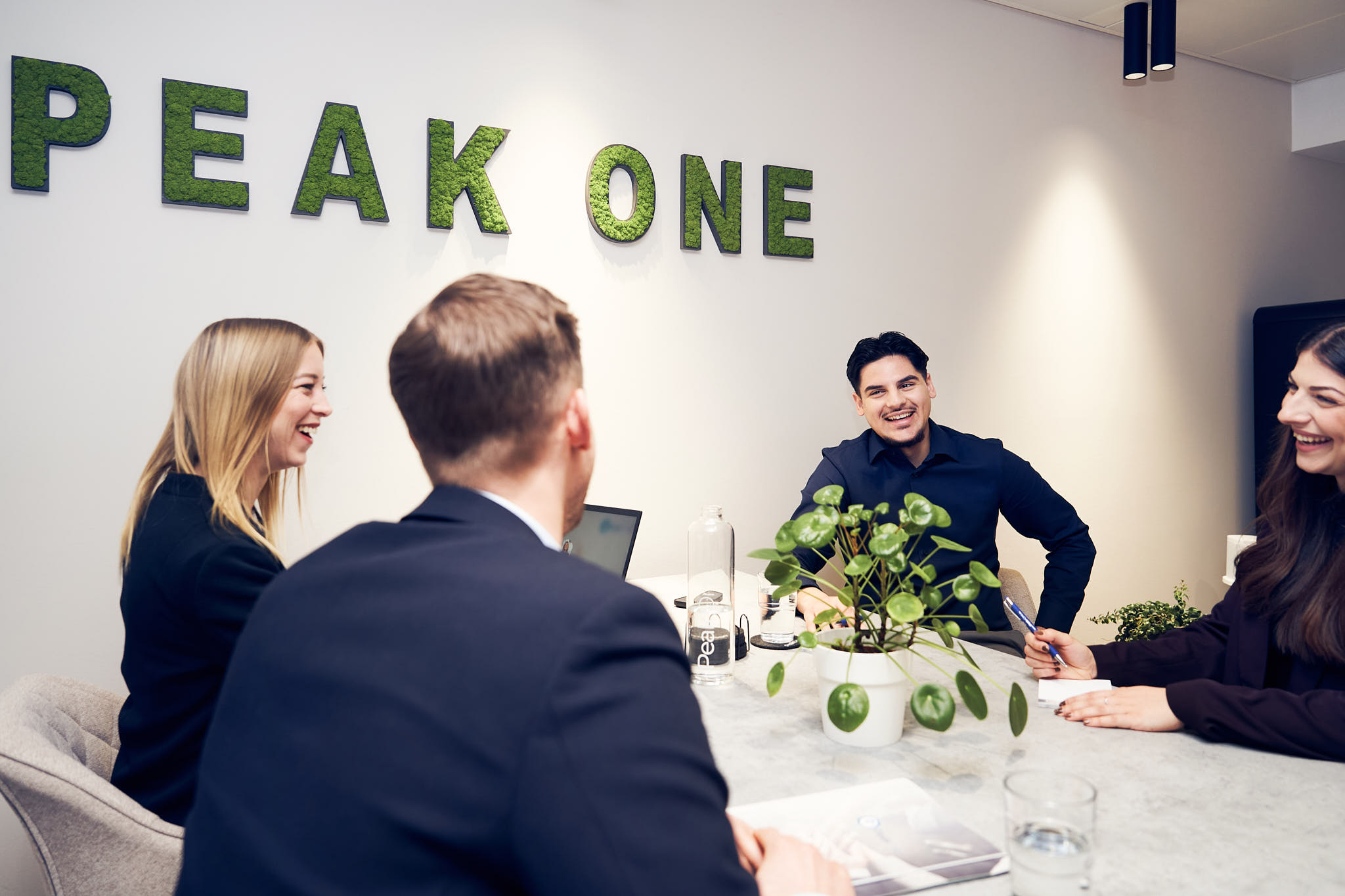 Peak One Personalberatung - TEAM- Ihr Spezialist für SAP, IT, Finance & Healthcare